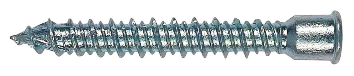 Hybridskruv för Adjufix-hylsa - HYBRIDSKRUV TX30 7,5X60MM 100/ ADJUFIX 152197