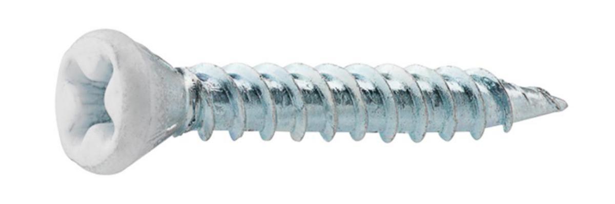 Spån-/Sockelskruv Stål vit Grabber - SPÅN/SOCKELSKR.3.8X28 VIT 100/ GRABBER G16JVITC