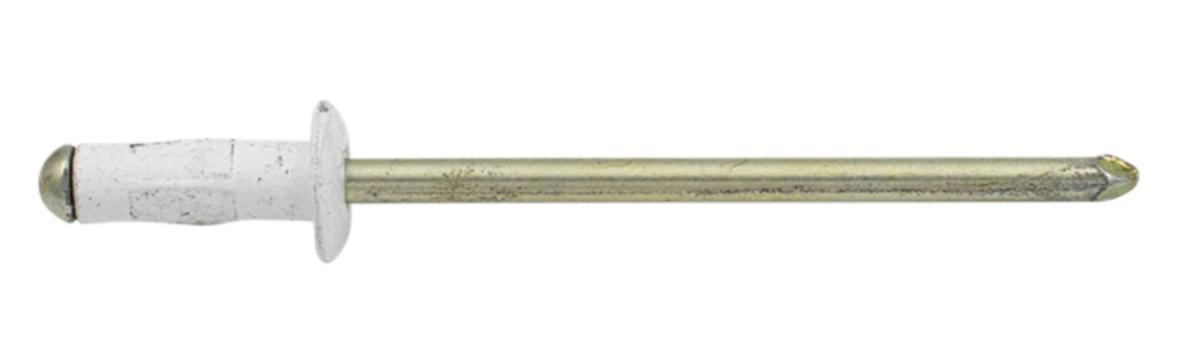 Multigripnit AVEX® färgad, aluminium - BLINDNIT 3.2X11.2 VIT 1000/ FÄRGAD TYP 1661 EJOT 101134