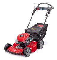 Gräsklippare TORO Recycler 55 AD