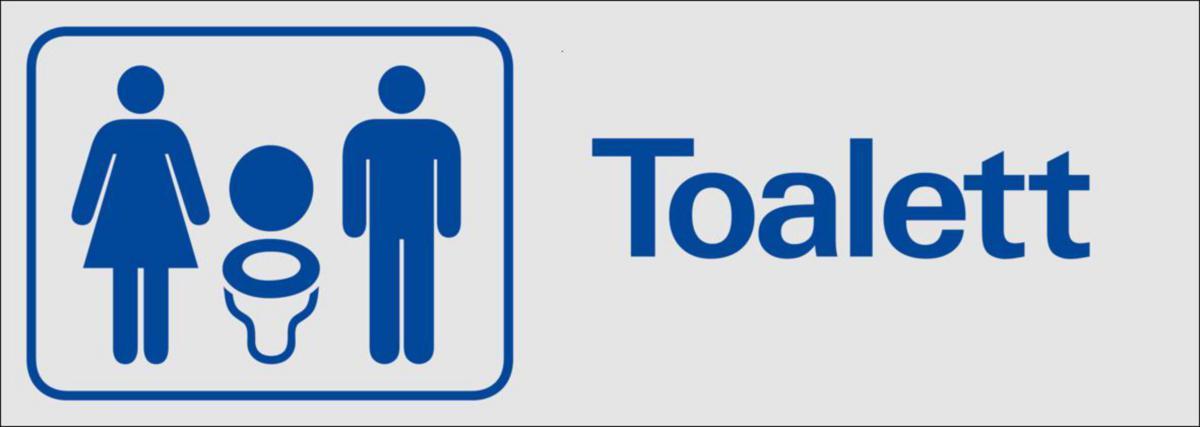 Symbolskyltar "text" - TOALETT DAM HERR 225X80 MM AL SYSTEMTEXT 387150