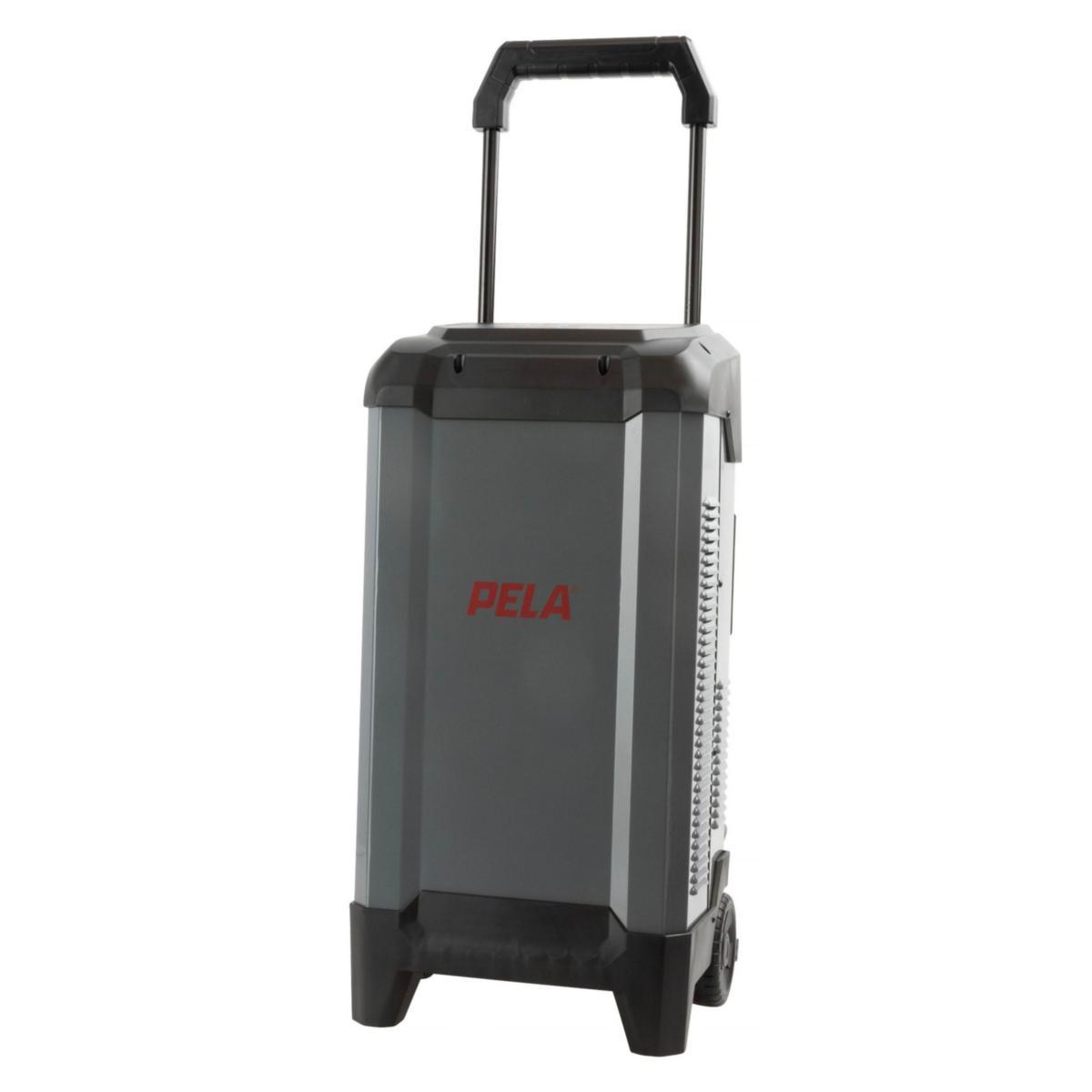 Batteriladdare PELA 12/24V 250A - BATTERILADDARE PELA MED STARTH 12/24V, 250A