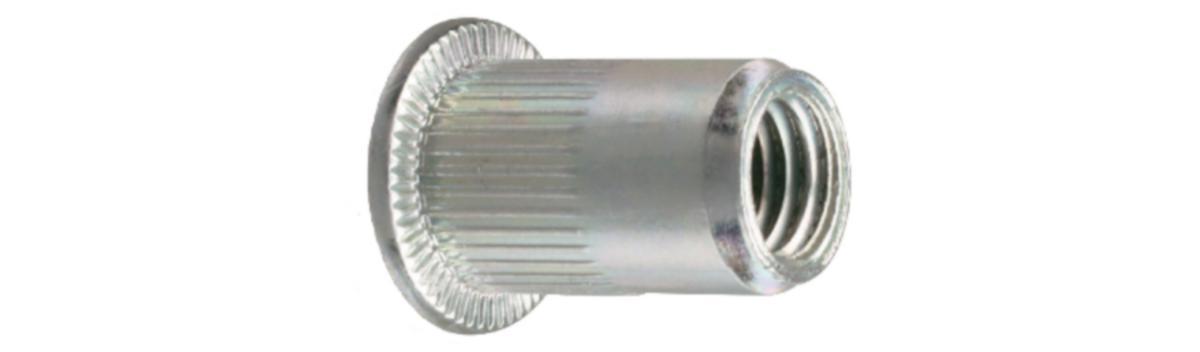 Blindnitmutter FTT "plant huvud", rostfritt stål - BLINDNITMUTTER RF A2 FTT/C M5 GR.0,5-3,0 PLANT HUVUD 200/FRP
