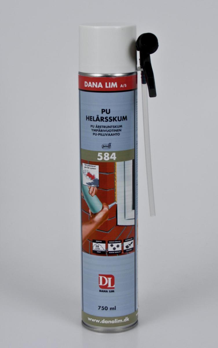Fogskum Dana 584 PU året-runt - FOGSKUM HELÅR PU PROF 584 DANA 750 ML. UN1950