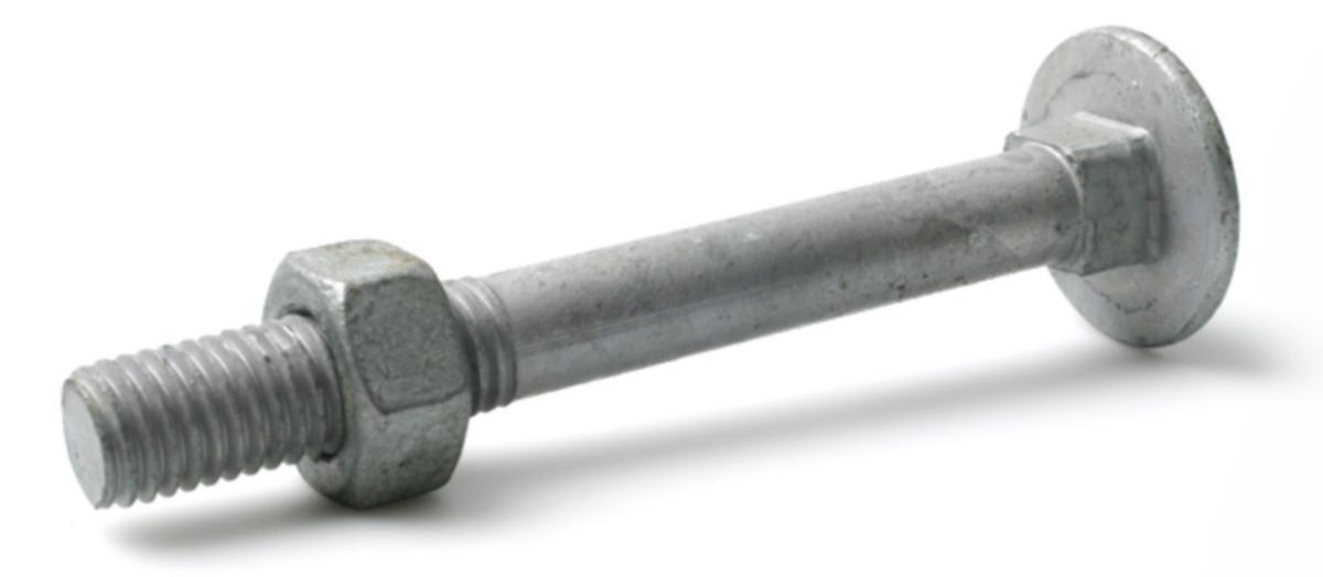 Vagnsbult MVBF 4.6 varmförzinkad DIN 603/555 - VAGNSBULT FZV MUT M8X50 MVBF 4,6 DIN 603/555 100/FRP